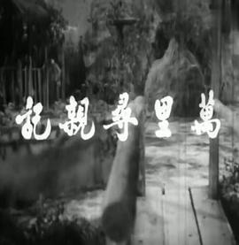 万里寻亲记(1080)