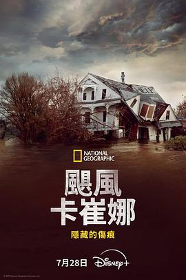 飓风卡崔娜隐藏的伤痕(蓝光)