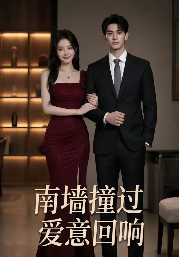 南墙撞过爱意回响（蓝光）