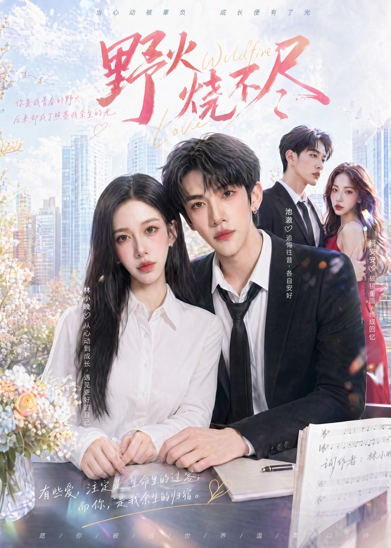 野火烧不尽(蓝光)