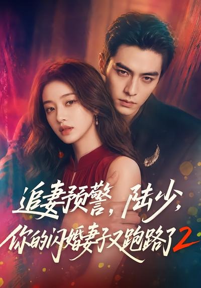 追妻预警陆少你的闪婚妻子又跑路了第二部(1080)