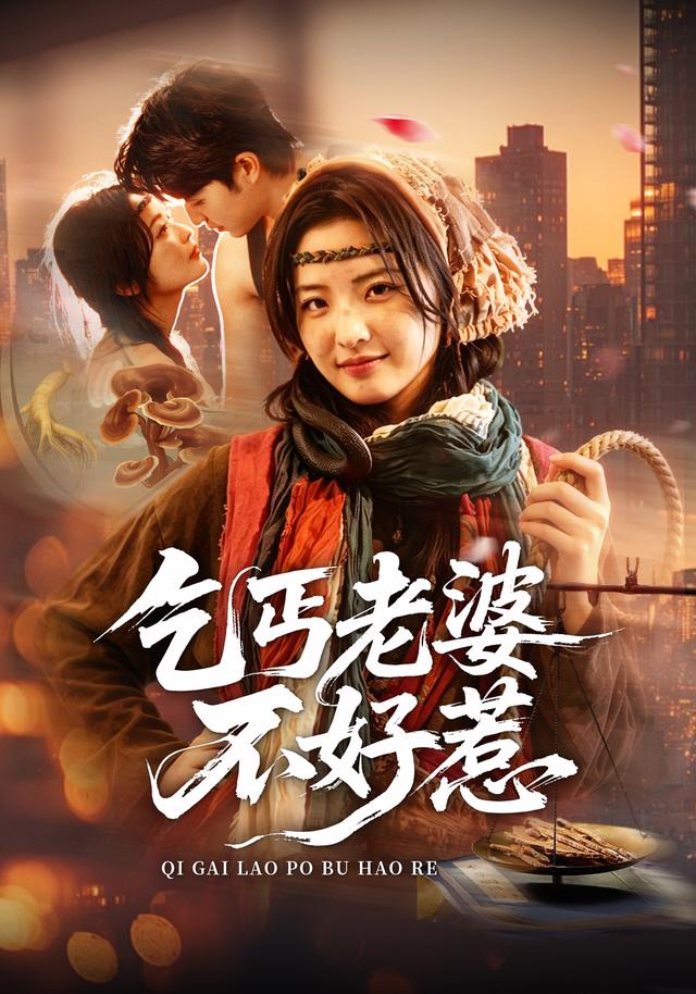 乞丐老婆不好惹(蓝光)