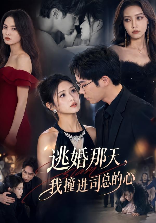 逃婚那天我撞进司总的心(蓝光)
