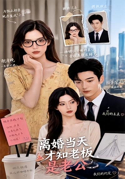 离婚当天才知老板是老公(蓝光)
